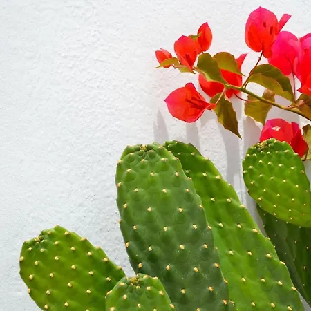 Appartement Con Bano Y Entrada Independiente *