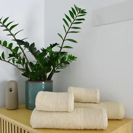 Con Bano Y Entrada Independiente La Santa