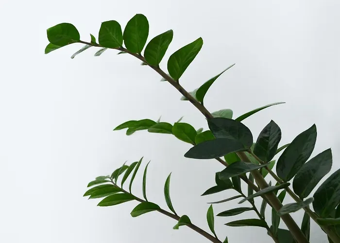 Apartment Con Bano Y Entrada Independiente