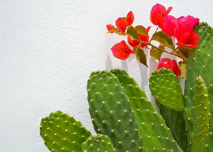 Apartment Con Bano Y Entrada Independiente *