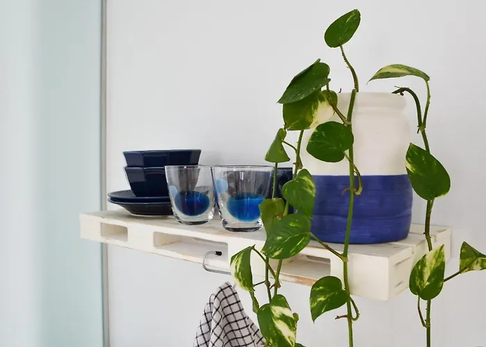 Apartment Con Bano Y Entrada Independiente