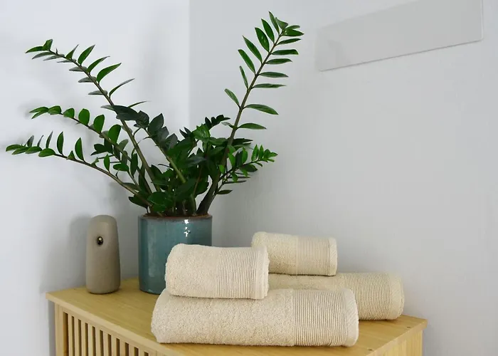 Con Bano Y Entrada Independiente La Santa