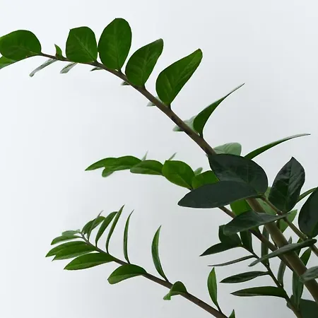 Apartament Con Bano Y Entrada Independiente