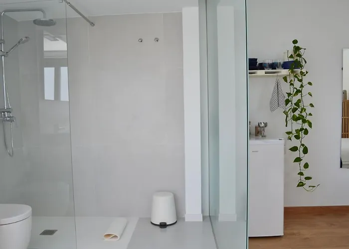 Con Bano Y Entrada Independiente *